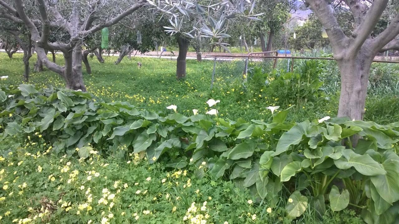 El Cortijo De La Abuela Pension Benahadux Buitenkant foto