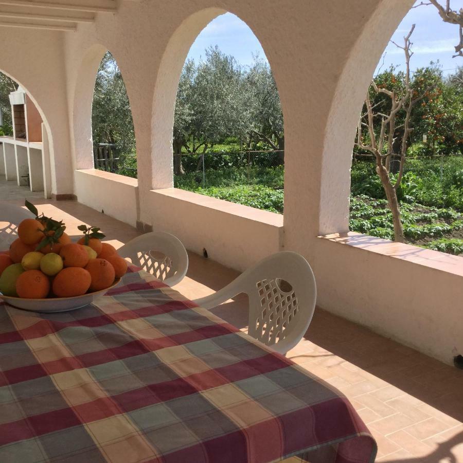 El Cortijo De La Abuela Pension Benahadux Buitenkant foto