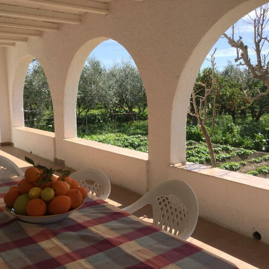 El Cortijo De La Abuela Pension Benahadux Buitenkant foto
